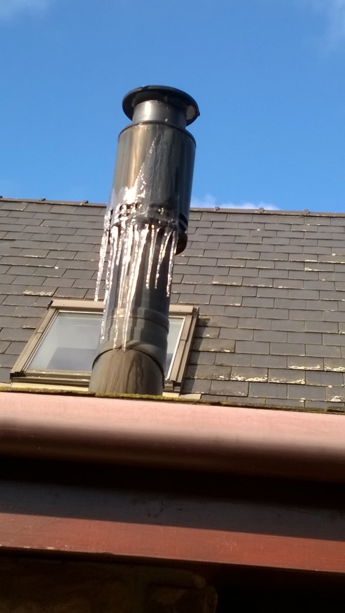 WP_20210210_12_02_32_Pro.jpg