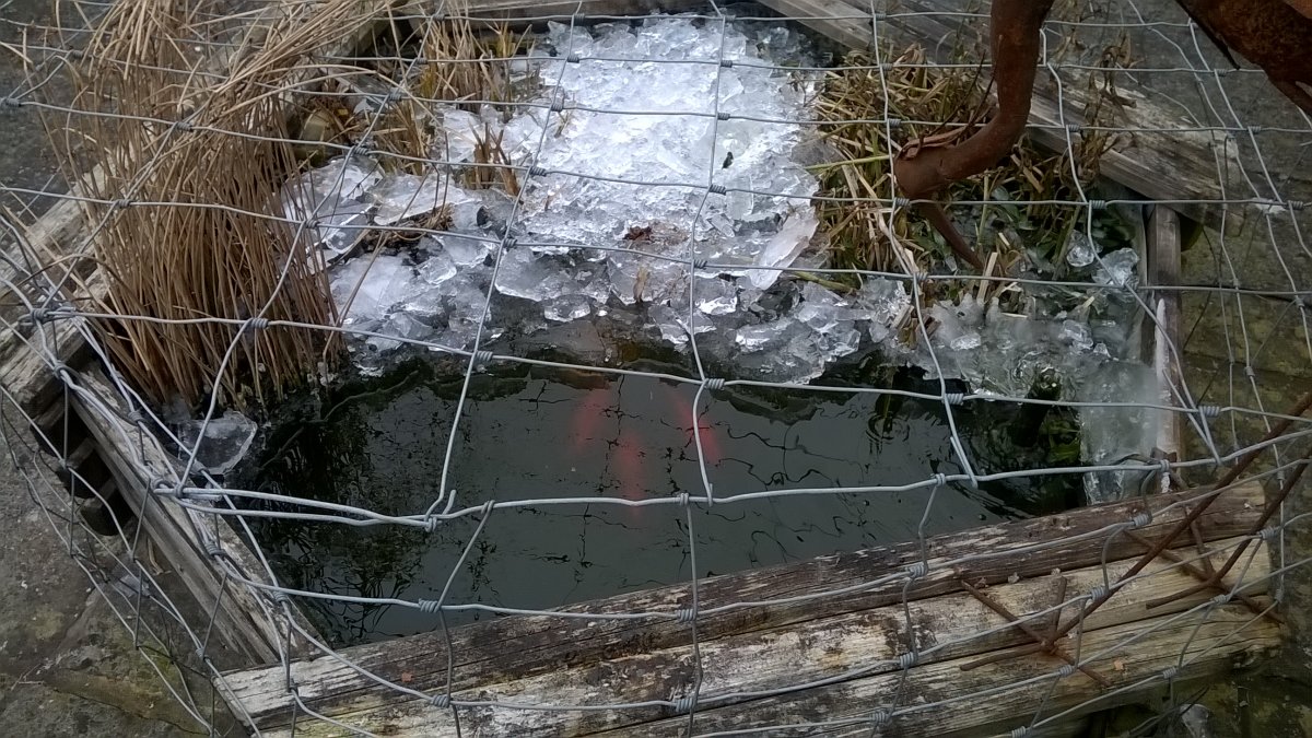 WP_20210213_11_25_39_Pro.jpg