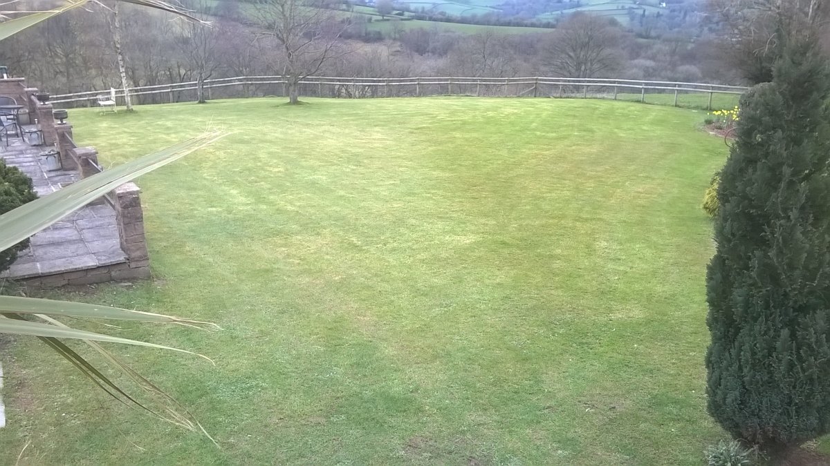 WP_20210321_14_11_14_Pro.jpg