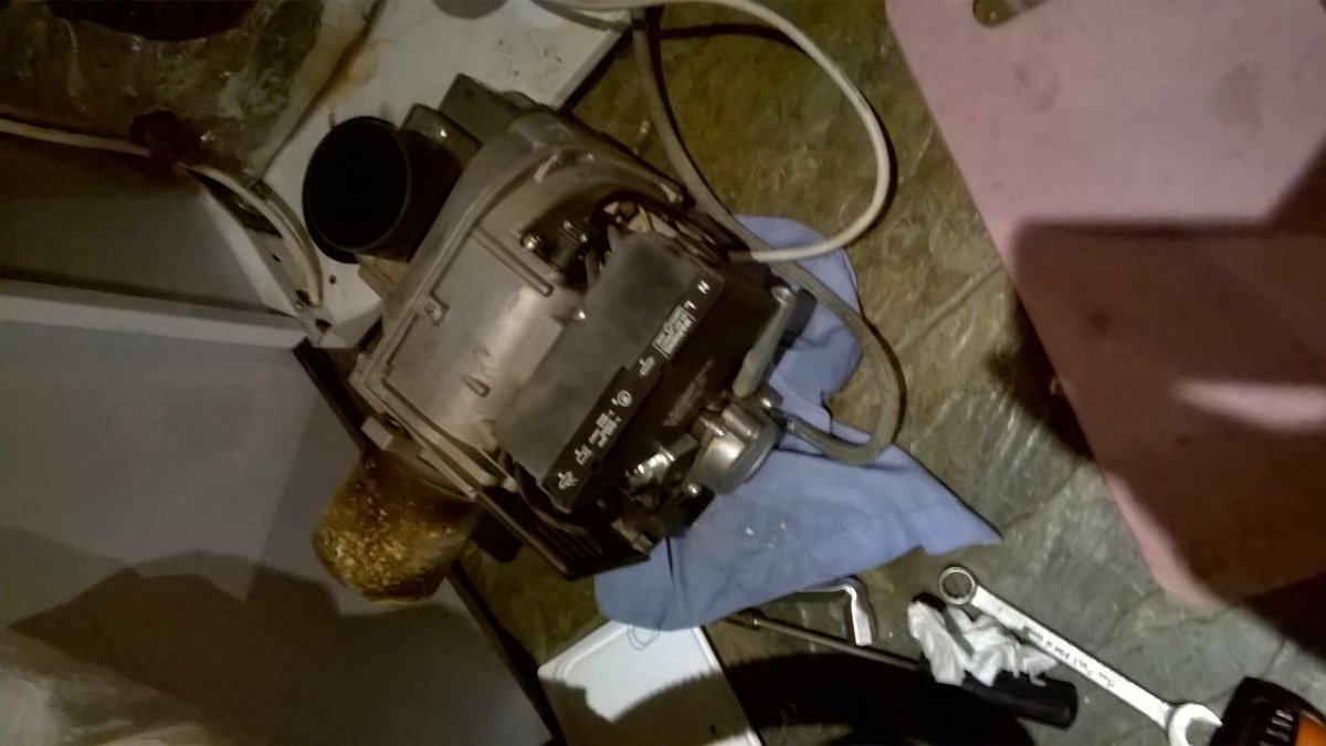 WP_20210325_18_41_57_Pro.jpg