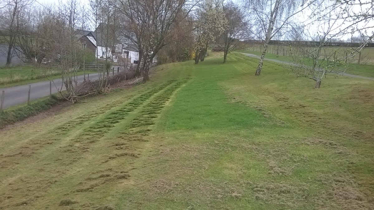 WP_20210401_12_34_42_Pro.jpg