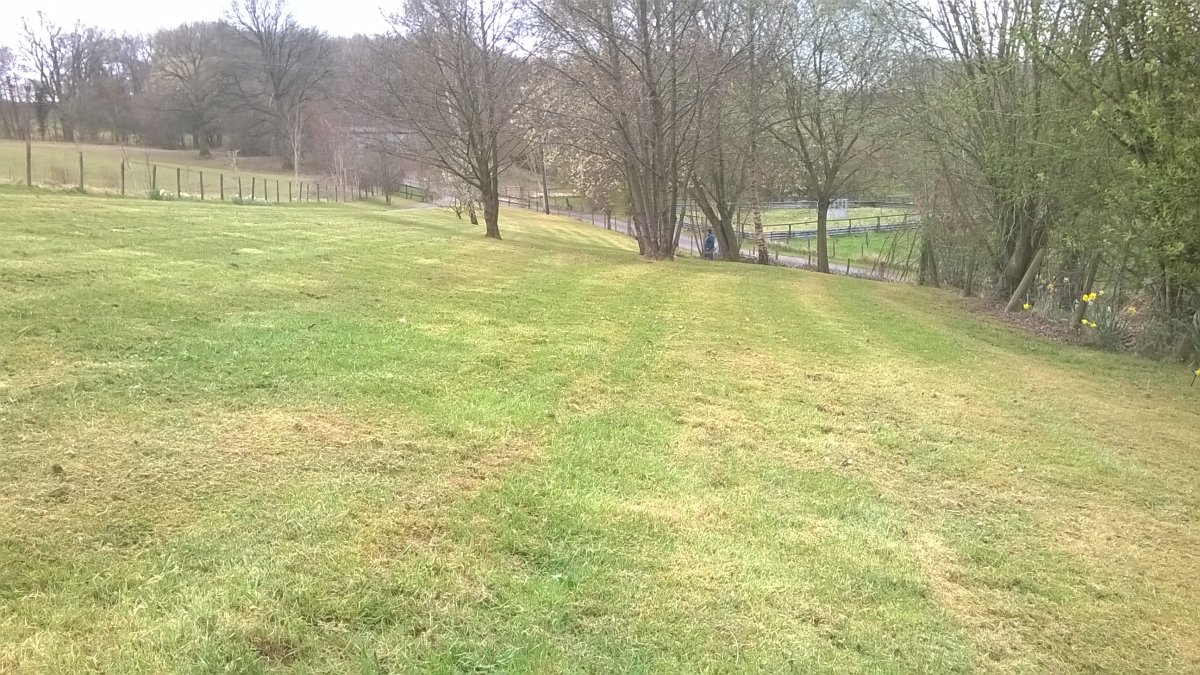 WP_20210401_13_56_55_Pro.jpg