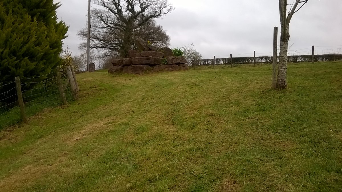 WP_20210401_13_57_03_Pro.jpg