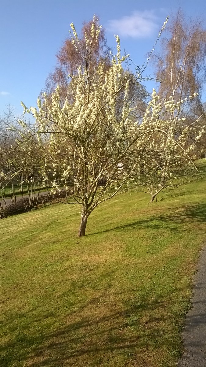 WP_20210403_16_43_56_Pro.jpg
