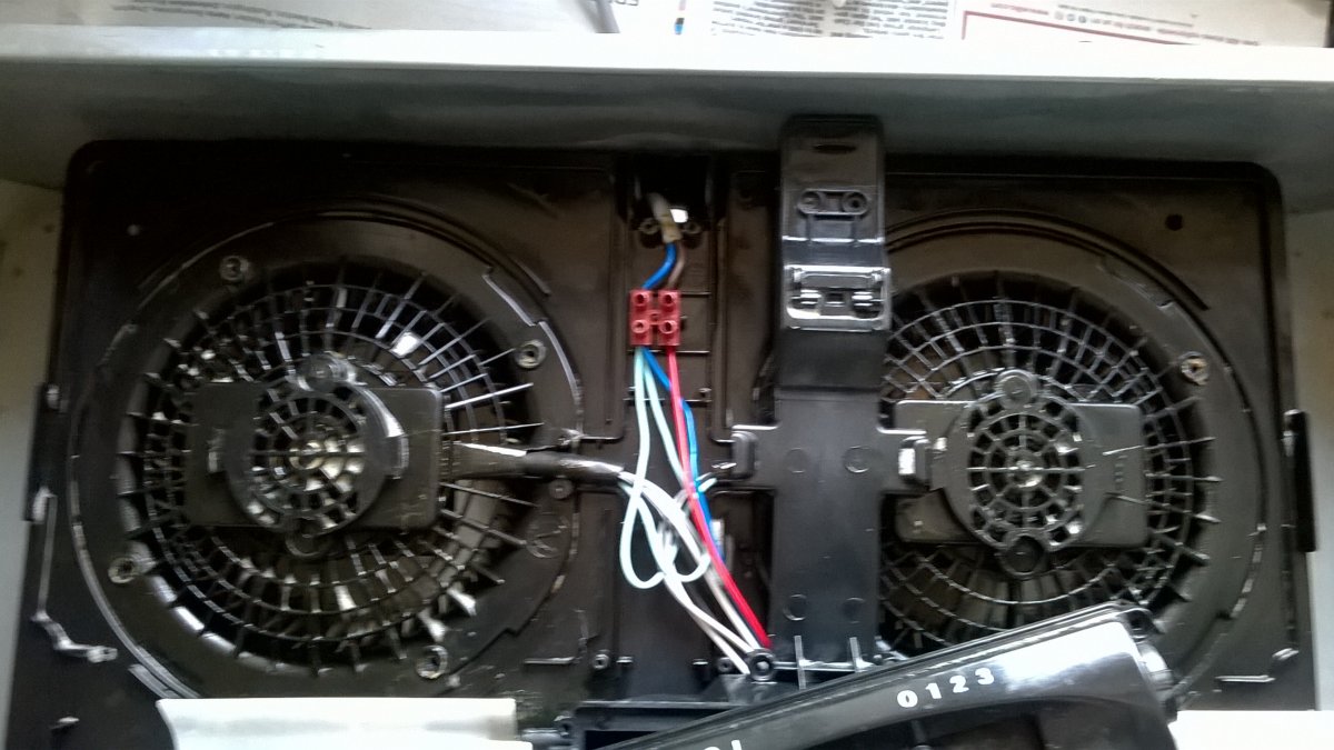 WP_20210506_10_22_56_Pro.jpg