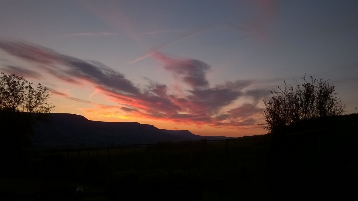 WP_20210530_21_38_33_Pro.jpg