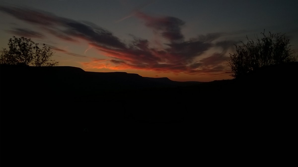 WP_20210530_21_38_47_Pro.jpg