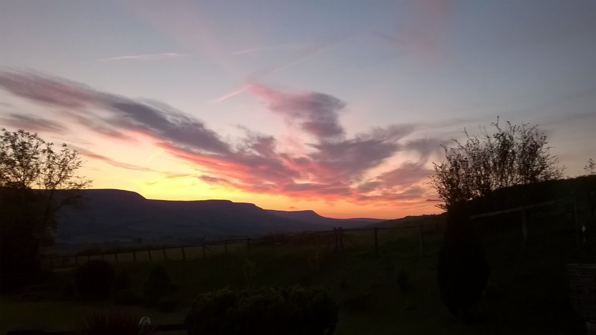WP_20210530_21_39_03_Pro.jpg