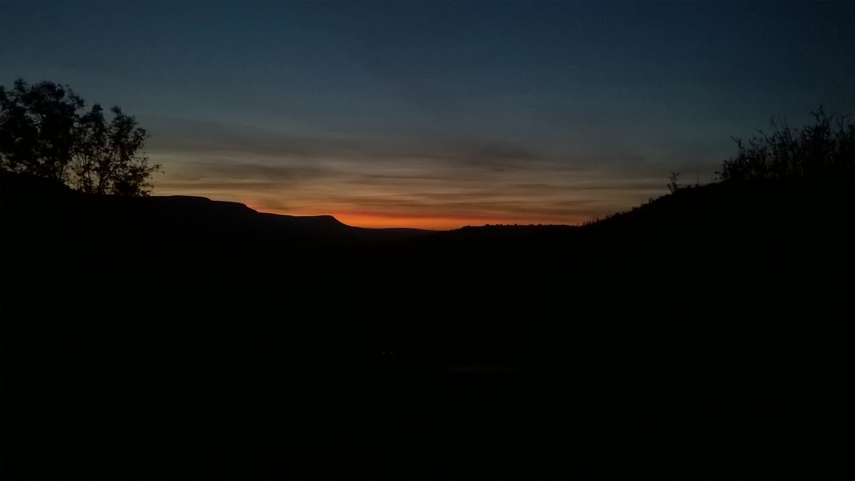 WP_20210614_22_19_03_Pro.jpg