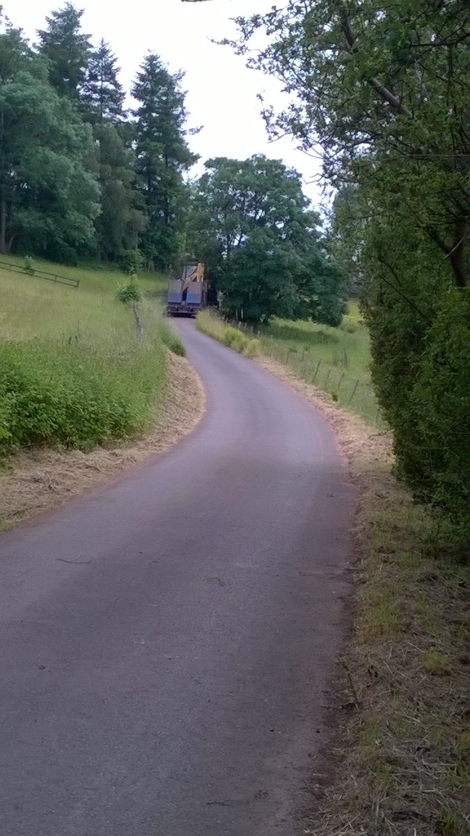 WP_20210623_19_45_05_Pro.jpg