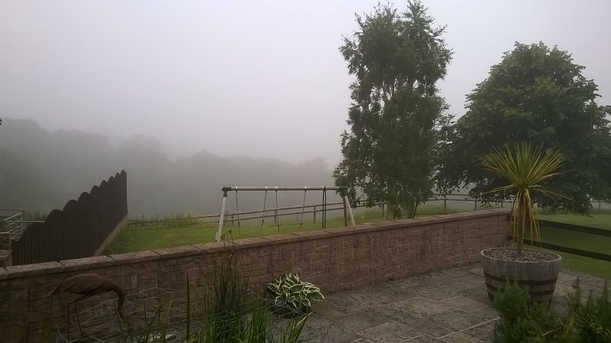 WP_20210701_09_08_48_Pro.jpg