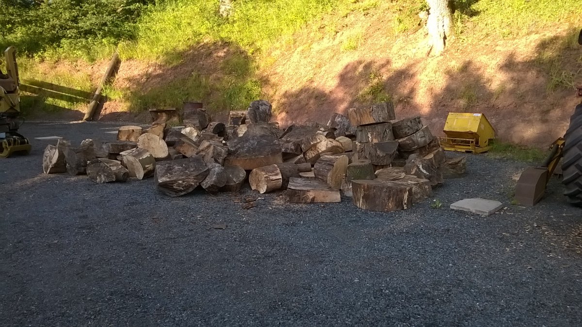 WP_20210714_19_29_08_Pro.jpg