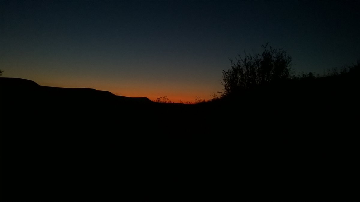 WP_20210714_22_20_30_Pro.jpg