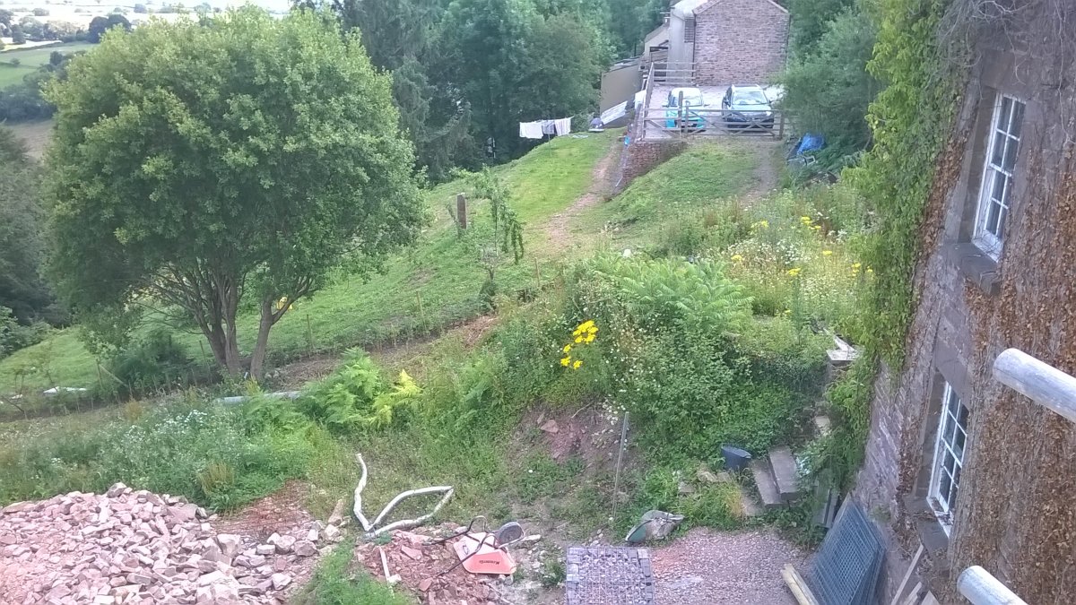 WP_20210719_14_43_00_Pro.jpg