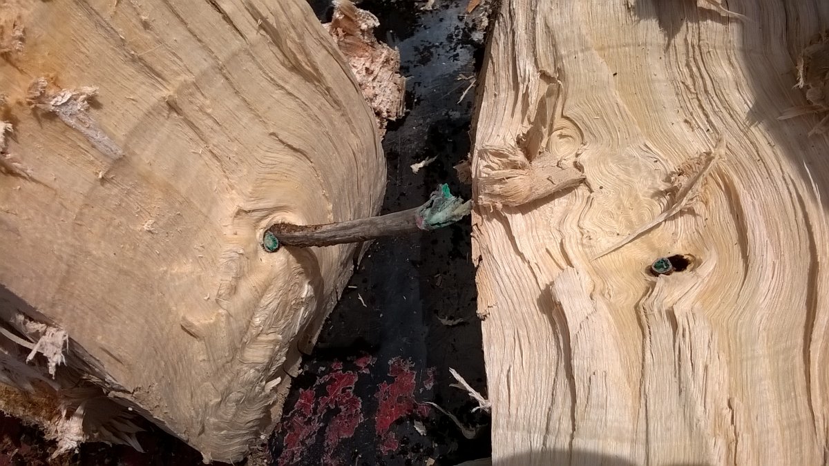 WP_20210723_14_13_19_Pro.jpg