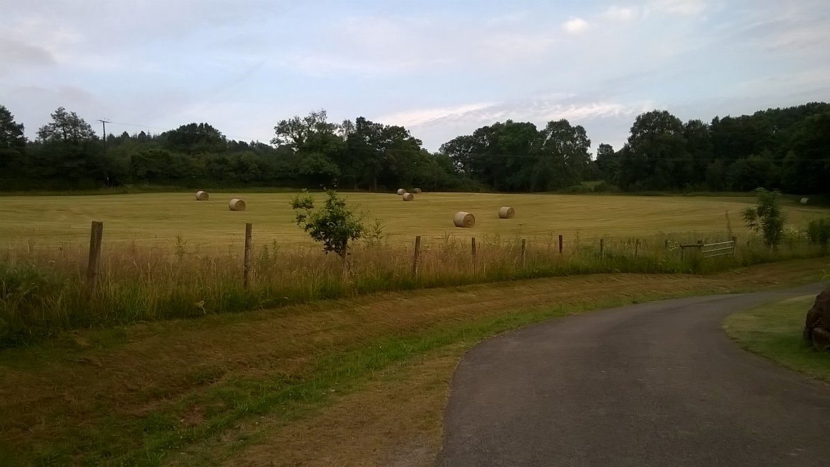 WP_20210723_20_35_05_Pro.jpg