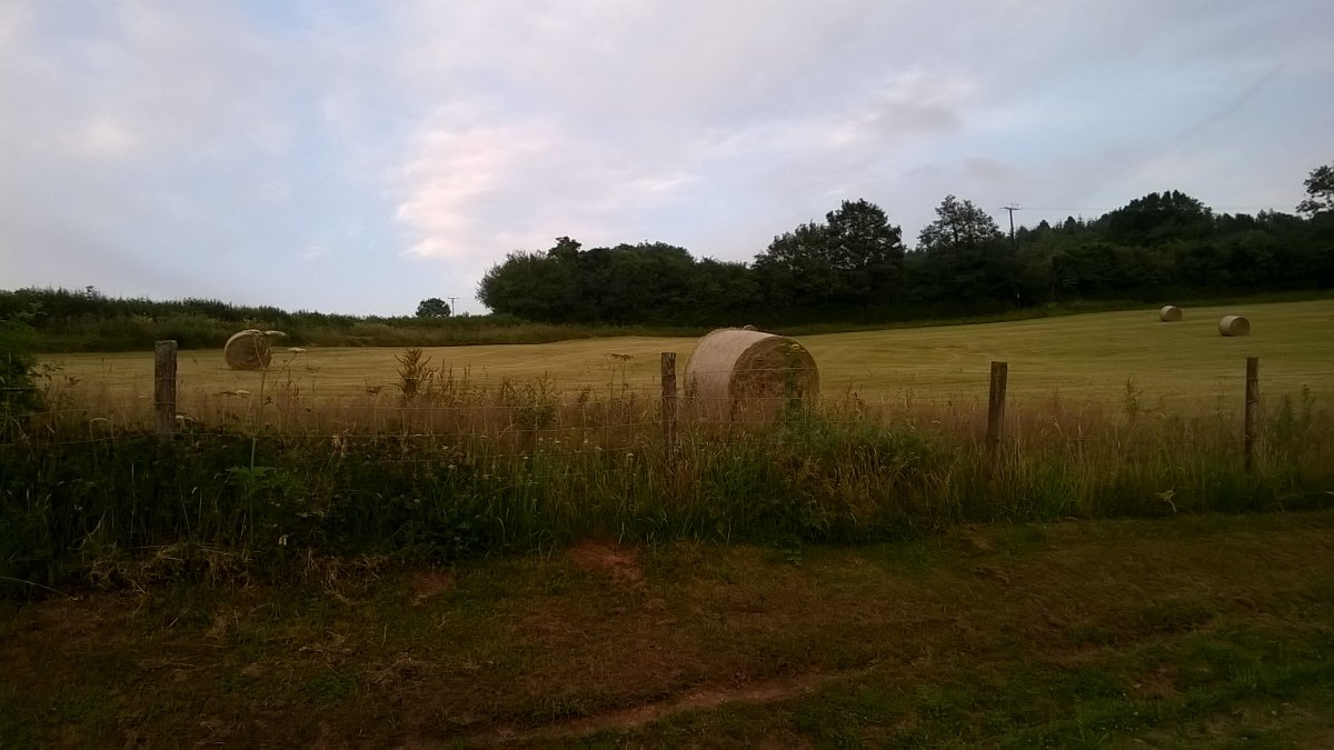 WP_20210723_20_35_10_Pro.jpg