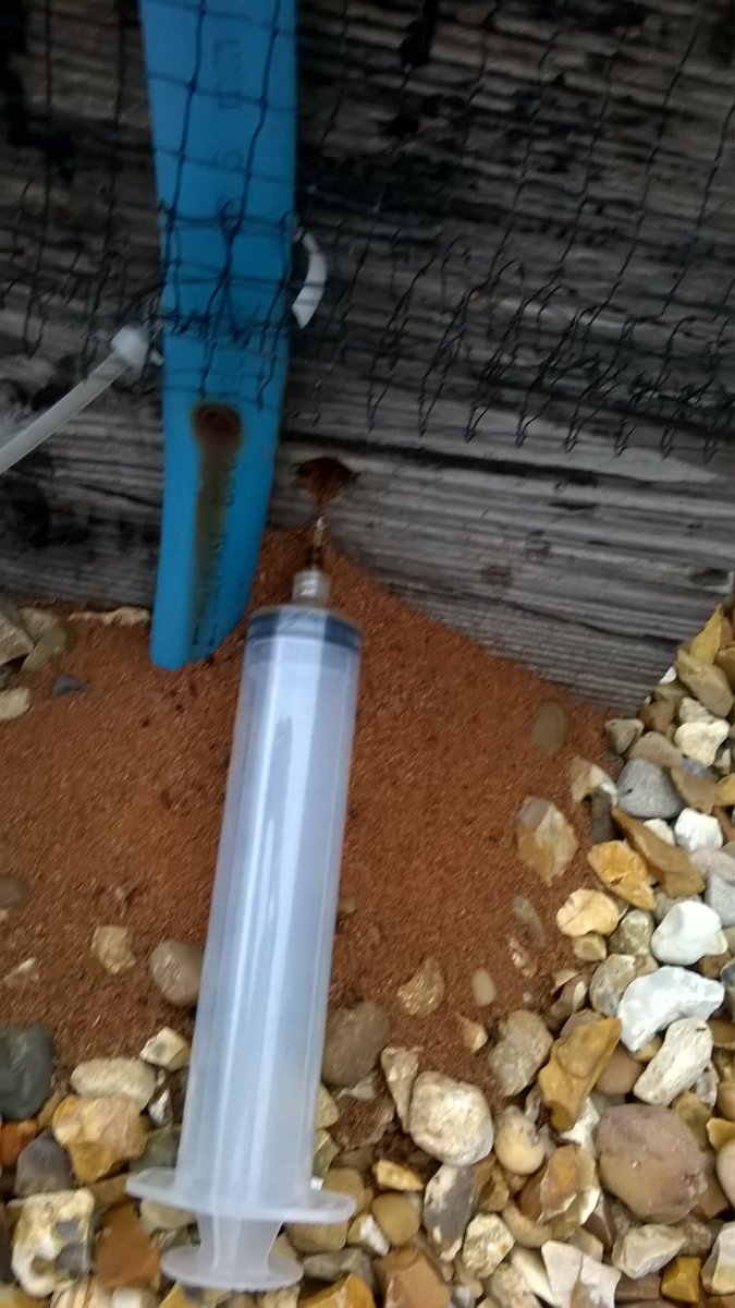 WP_20210729_20_12_37_Pro.jpg