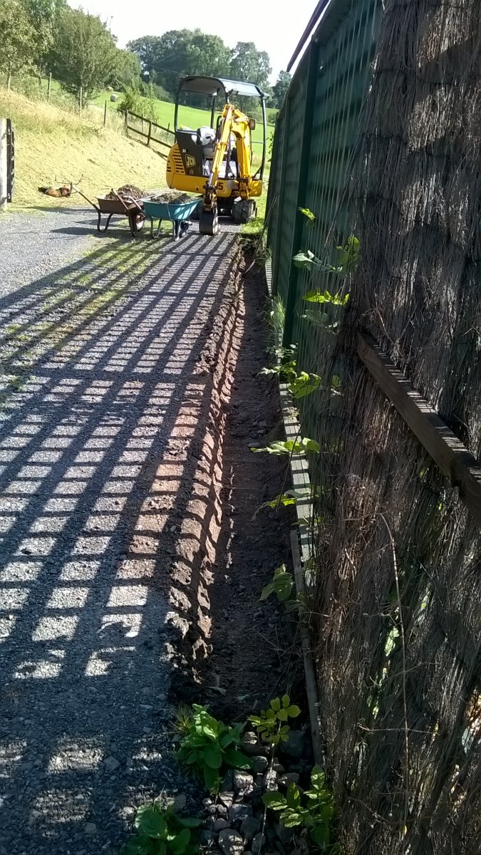 WP_20210819_15_58_42_Pro.jpg