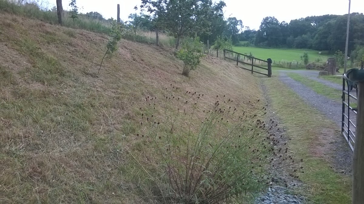 WP_20210820_13_24_28_Pro.jpg