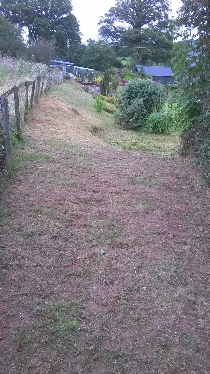 WP_20210902_13_11_51_Pro.jpg