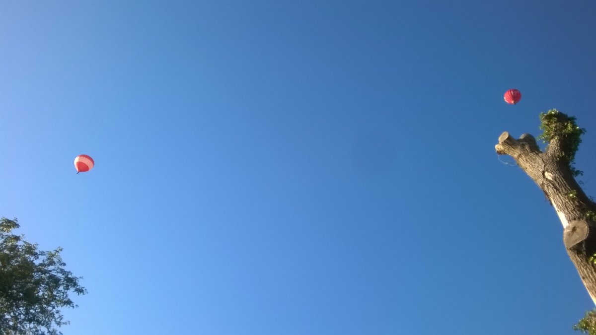 WP_20210923_17_33_04_Pro.jpg