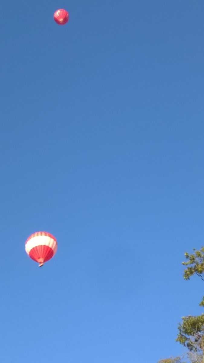 WP_20210923_17_36_13_Pro.jpg