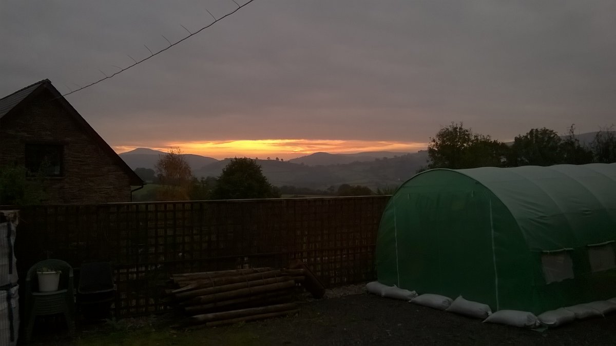 WP_20211009_18_28_09_Pro.jpg