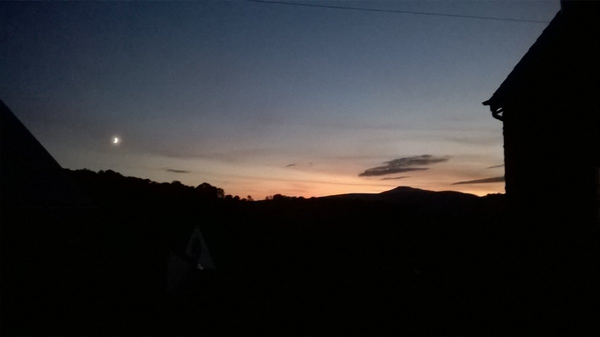 WP_20211010_19_08_02_Pro.jpg