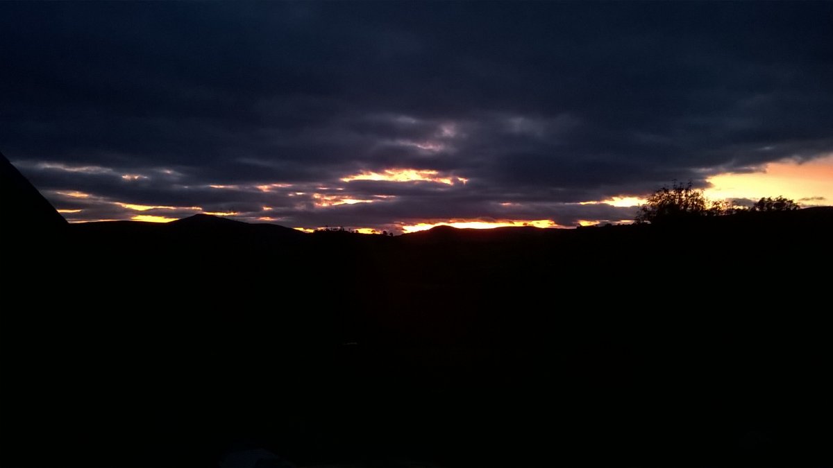 WP_20211012_18_42_44_Pro.jpg