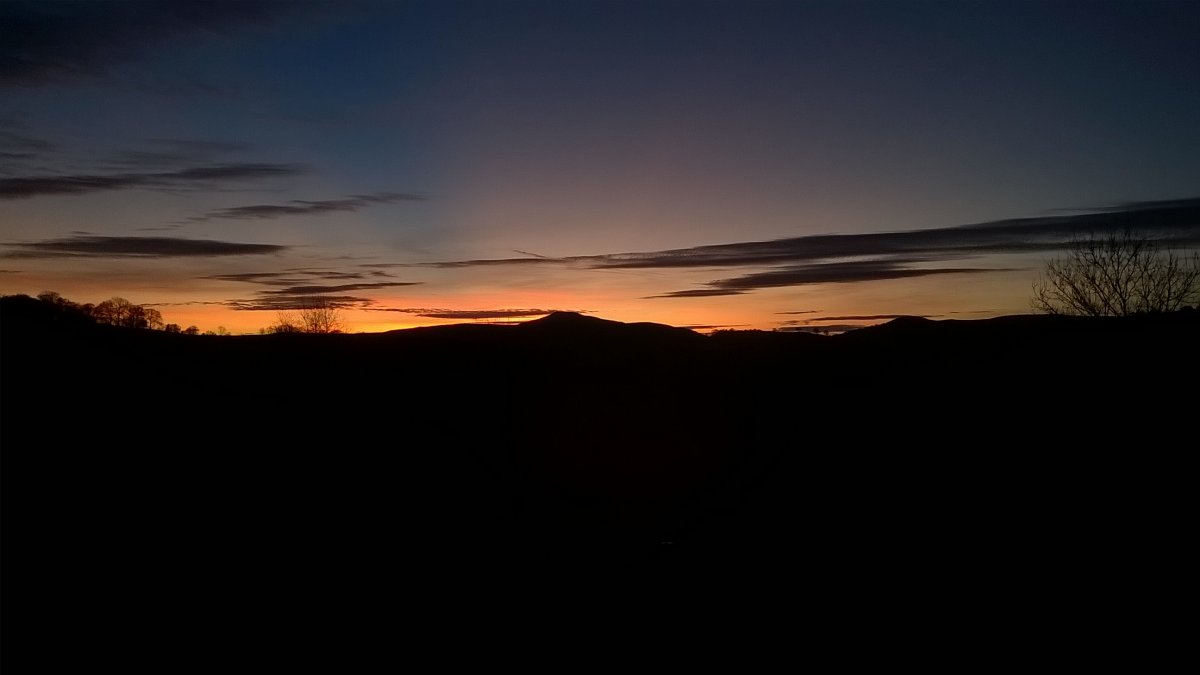 WP_20211202_16_34_23_Pro.jpg