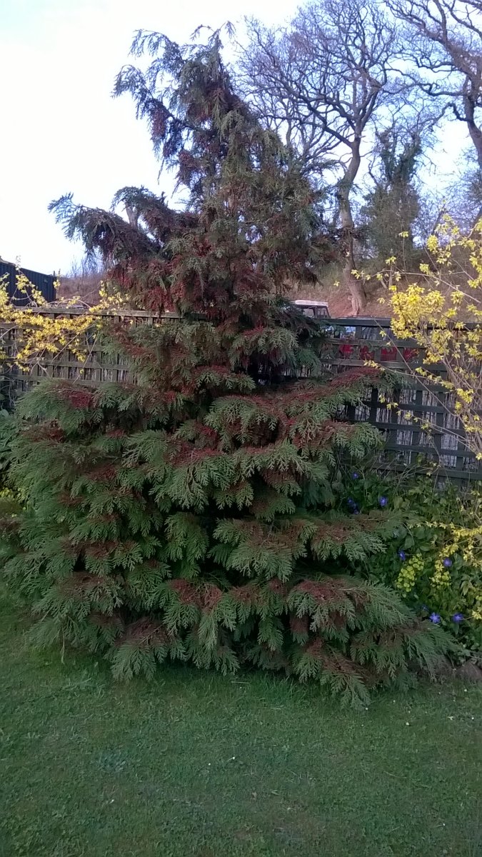 WP_20220329_18_26_20_Pro.jpg