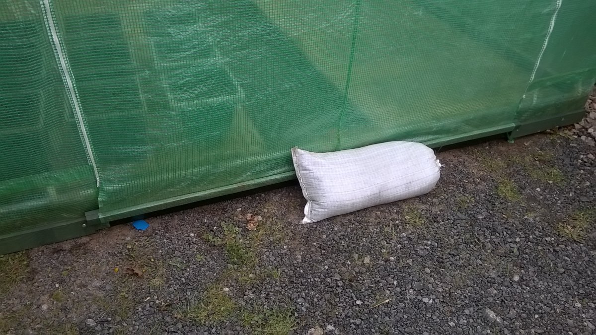 WP_20220410_18_50_00_Pro.jpg
