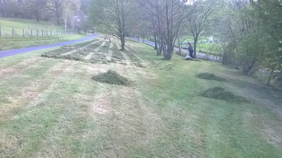 WP_20220421_17_33_42_Pro.jpg