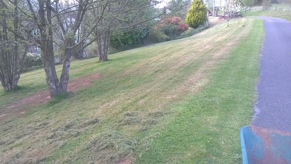 WP_20220421_18_07_59_Pro.jpg