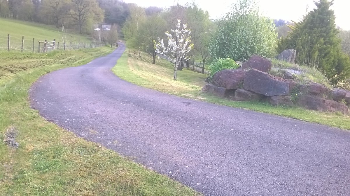 WP_20220421_18_09_58_Pro.jpg