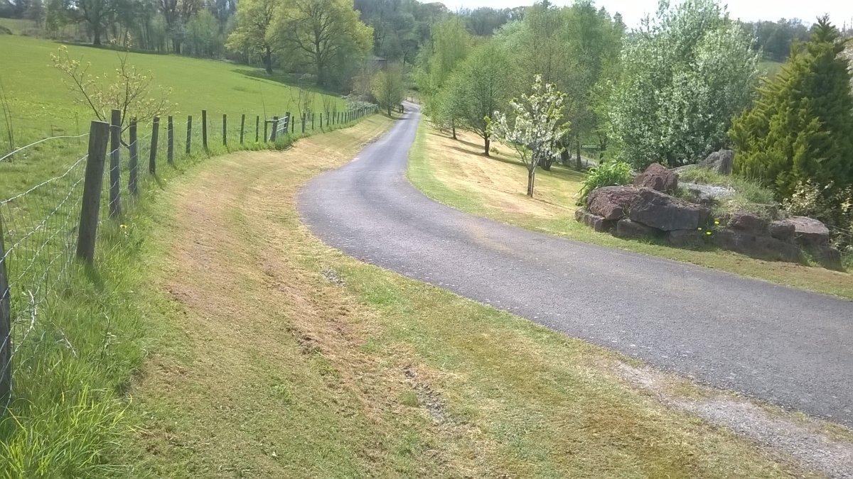 WP_20220430_12_42_12_Pro.jpg