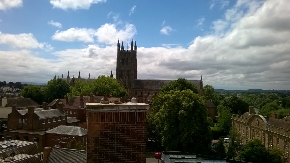 WP_20220707_11_40_22_Pro.jpg