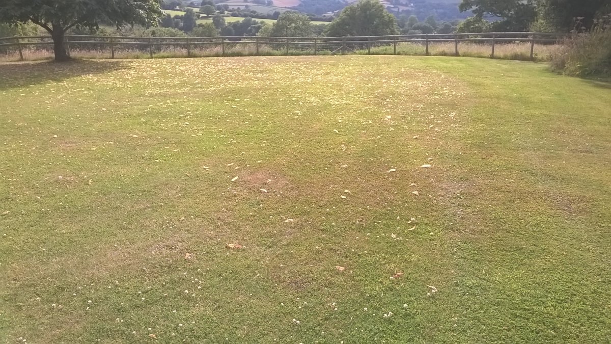 WP_20220717_17_56_40_Pro.jpg
