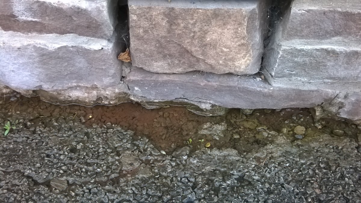 WP_20220720_06_51_29_Pro.jpg