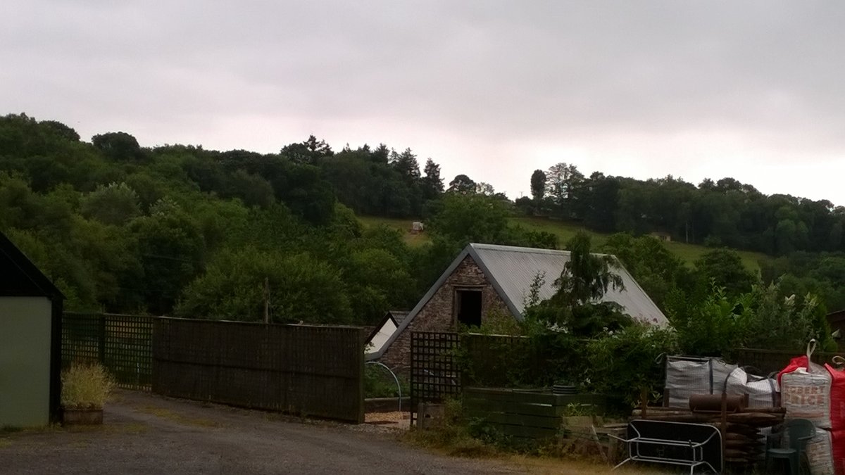 WP_20220724_15_43_54_Pro.jpg