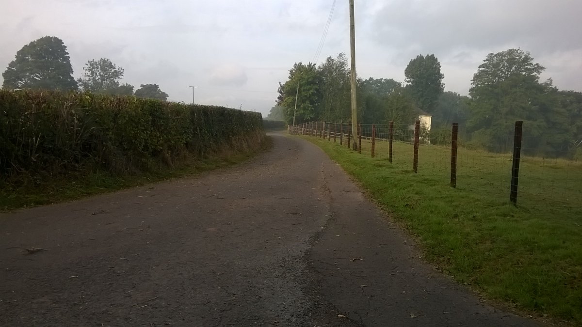 WP_20220922_09_13_49_Pro.jpg