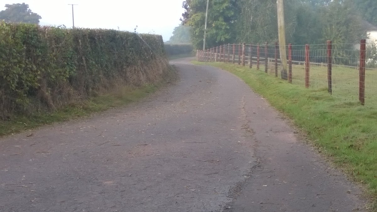 WP_20220922_09_13_57_Pro.jpg