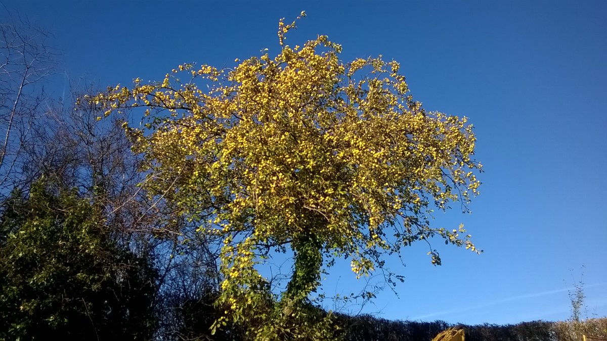 WP_20221119_12_25_11_Pro.jpg