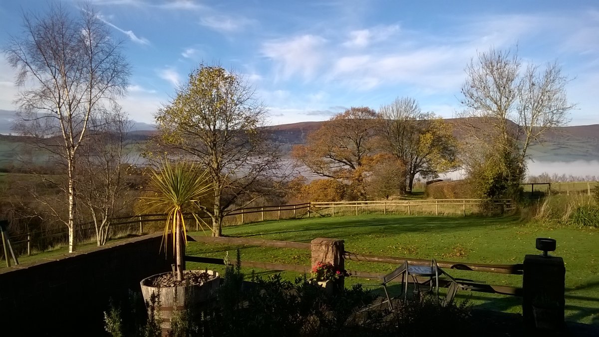 WP_20221129_10_38_48_Pro.jpg