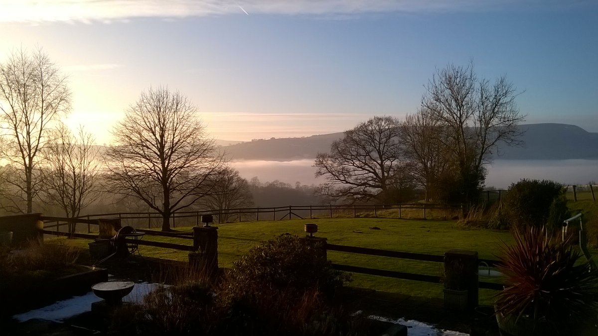 WP_20230121_15_50_03_Pro.jpg