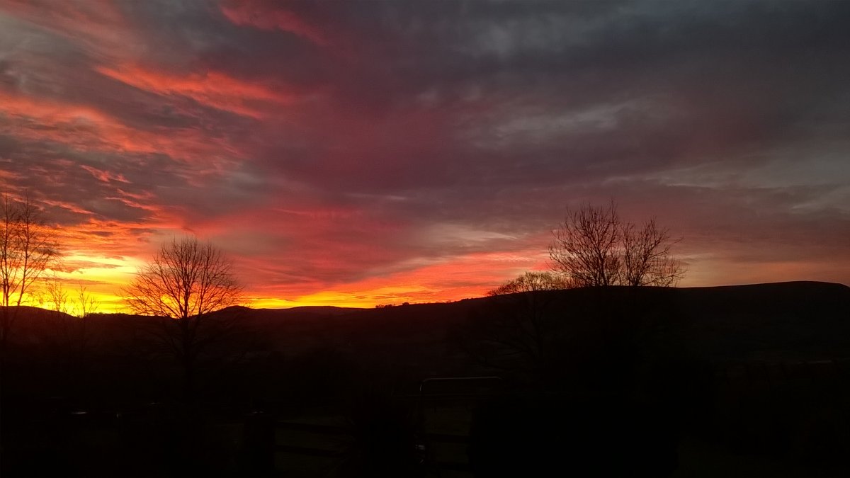 WP_20230205_17_24_33_Pro.jpg