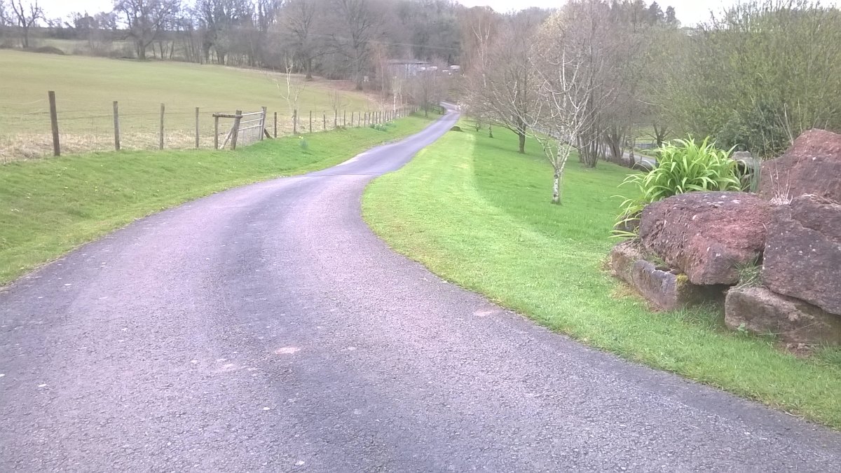 WP_20230408_16_57_40_Pro.jpg