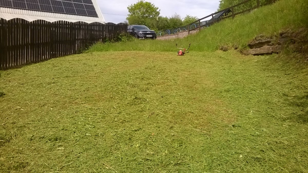 WP_20230514_14_13_11_Pro.jpg