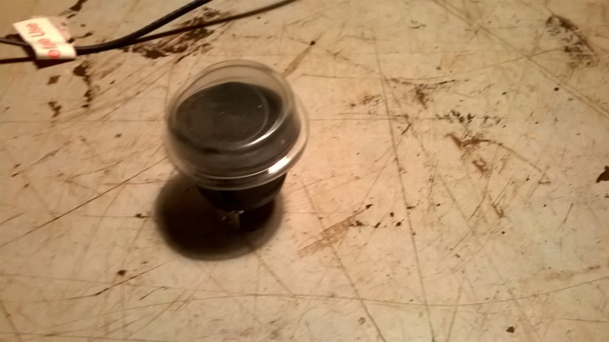 WP_20230602_18_36_56_Pro.jpg